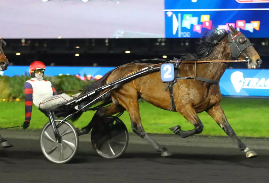 kappacourse || kappa course || kappa turf || kappacourse turf || kappacourse gagnant